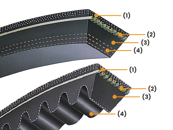 Raw Edge Wide Angle V-belts (Multi-ply, Cogged)