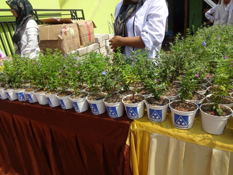 Plant donation