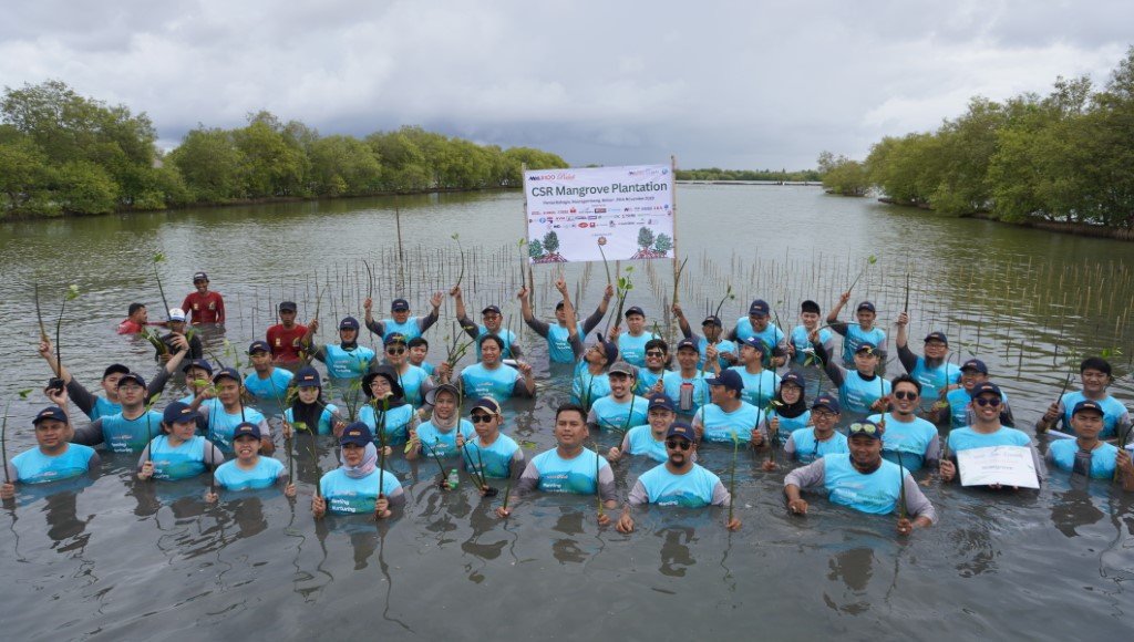 Penanaman mangrove